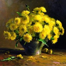 Одуванчики