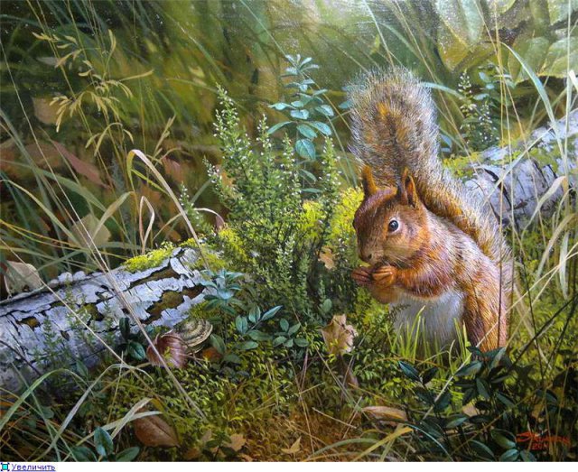 белочка - животные - оригинал