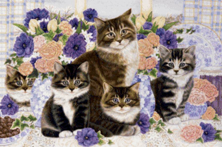 семейное фото - коты, кот - предпросмотр