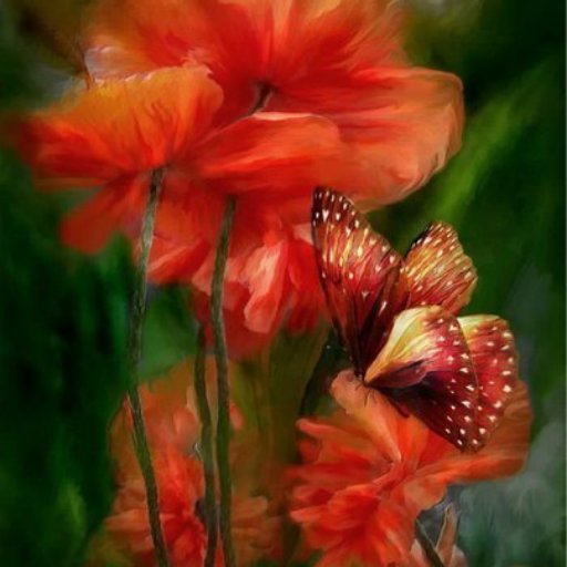 маки - цветы, бабочки - оригинал