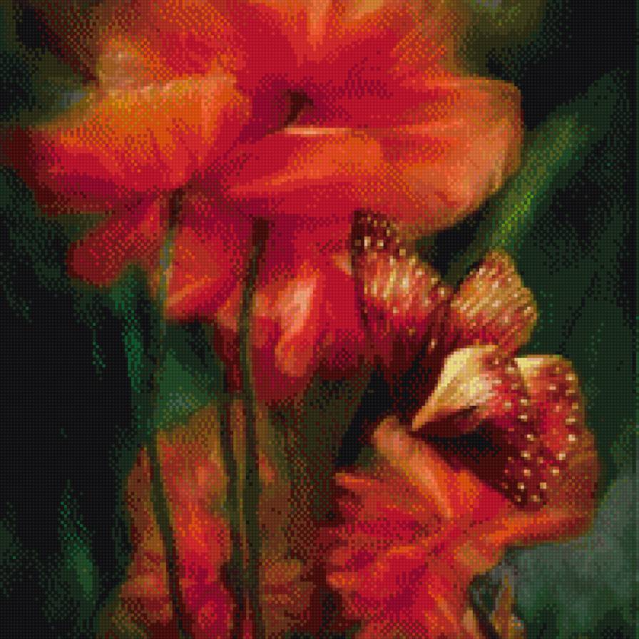 маки - бабочки, цветы - предпросмотр