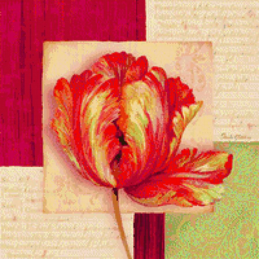 Тюльпан - цветок, бутон, весна - предпросмотр