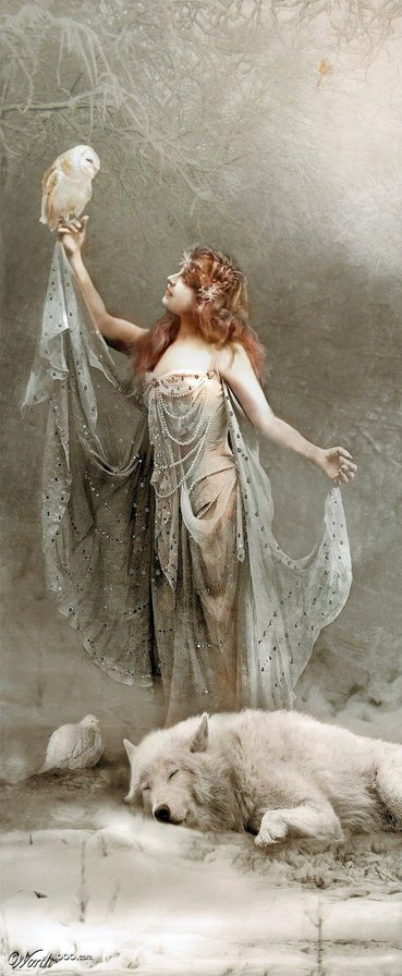 Снегурочка - волк, зима, сказка, сова, снегурочка - оригинал