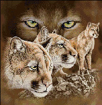 Схема вышивки «пума»