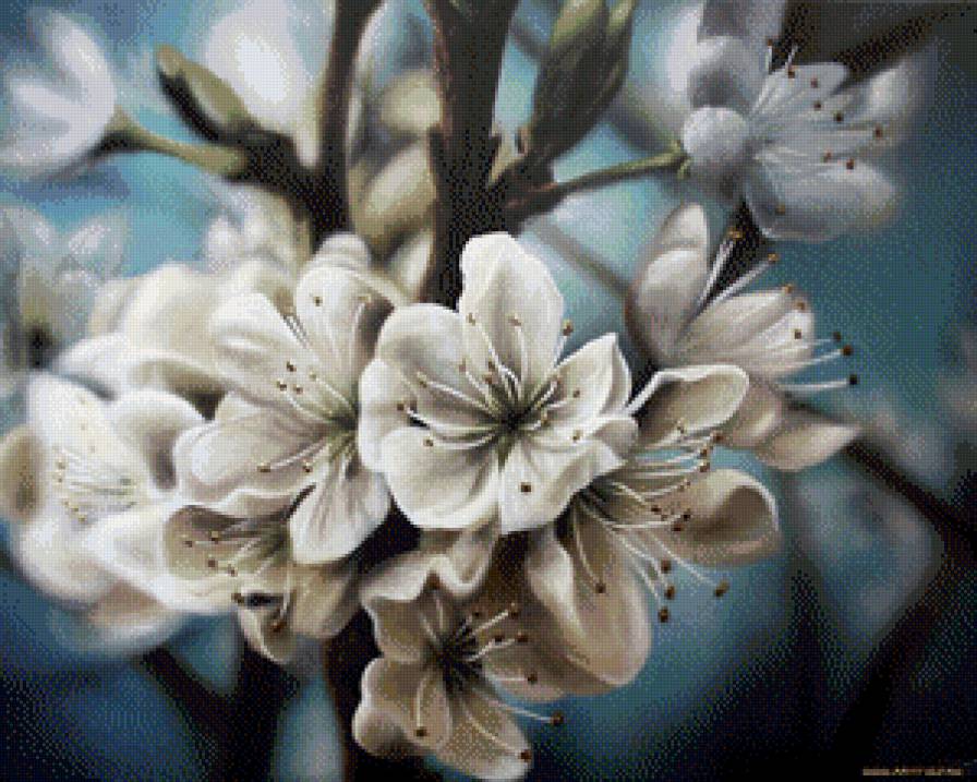 №935577 - сад, природа, яблоня, цветы, нежность - предпросмотр