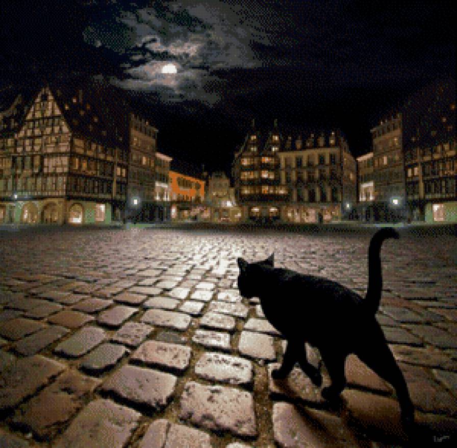 Ночная прогулка - кошки, животные, ночь, город - предпросмотр
