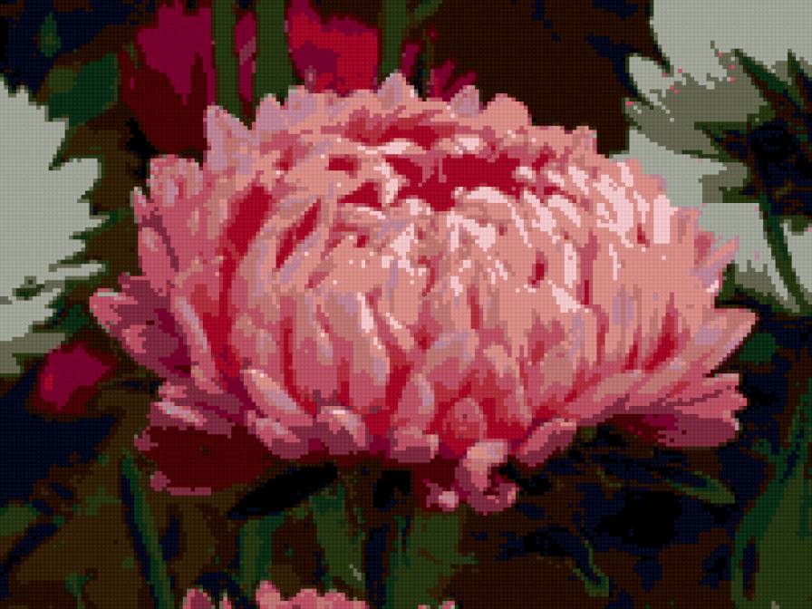 серия "цветы" - цветы - предпросмотр