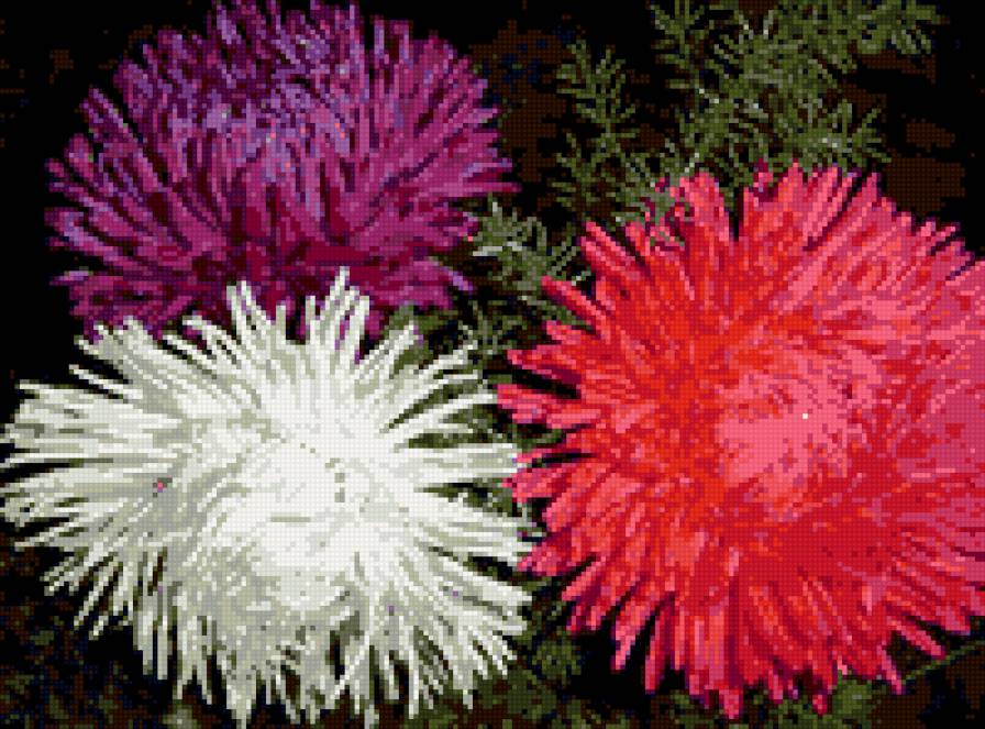 серия "цветы" - цветы - предпросмотр