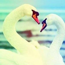 Схема вышивки «№935865»