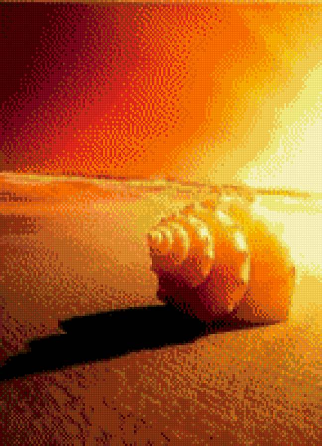 Ракушка - закат, ракушка, песок, пустыня, небо - предпросмотр