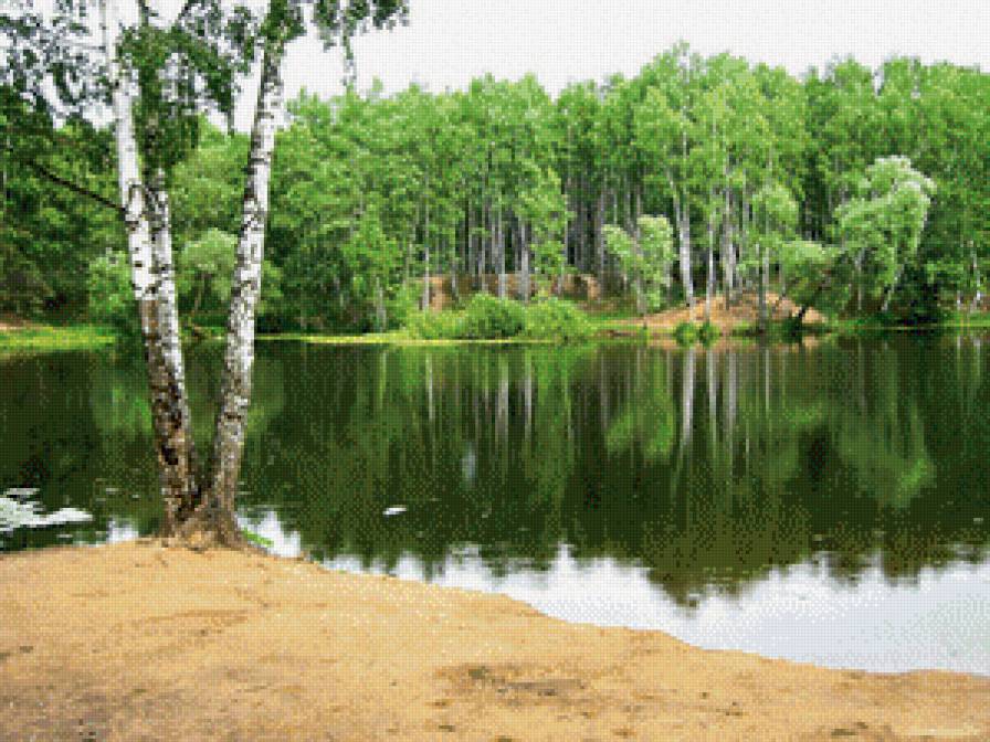 на берегу озера - лето, берег, озеро, лес - предпросмотр