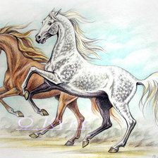 Оригинал схемы вышивки «Пара лошадей» (№936102)