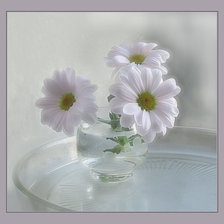 Схема вышивки «№936431»