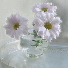 Схема вышивки «№936438»