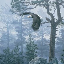 Схема вышивки «№936602»