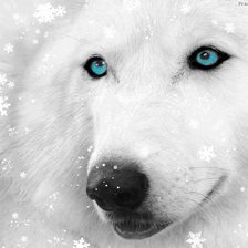 Схема вышивки «№936761»