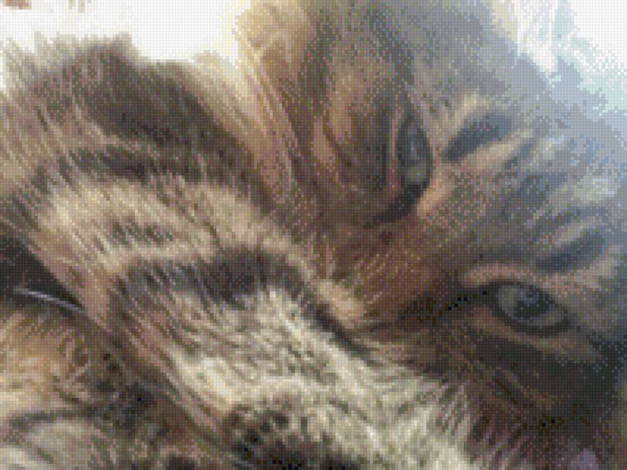 Котик - животные, кот - предпросмотр