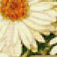 Предпросмотр схемы вышивки «солнечные ромашки» (№937261)