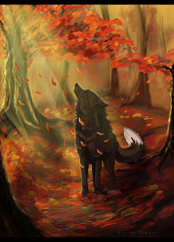 Осенний волк - листопад, осень, волк - оригинал