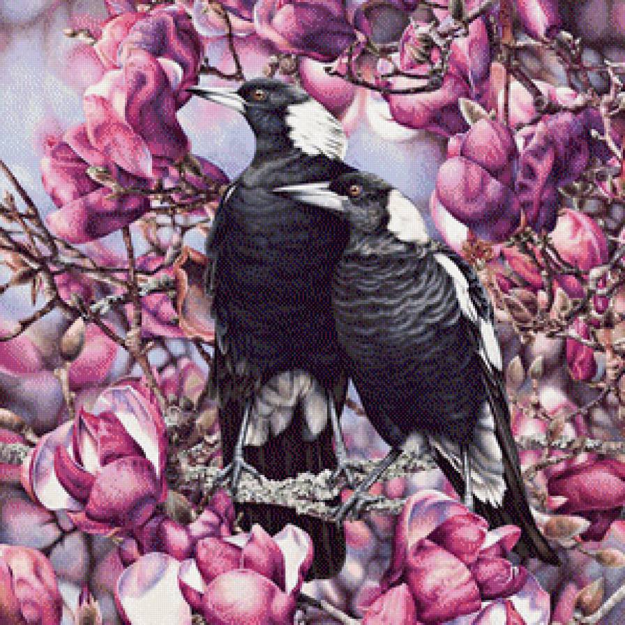 птицы - птицы - предпросмотр