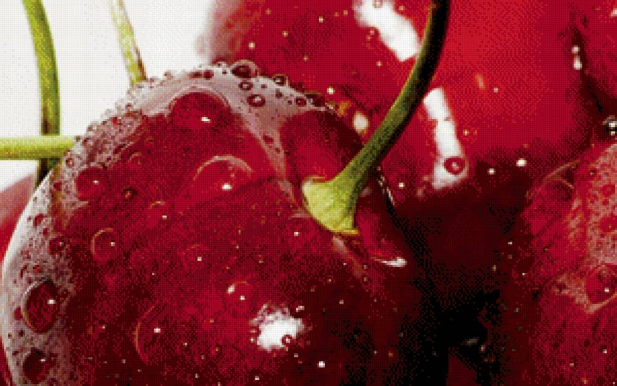 вишня - вишня - предпросмотр