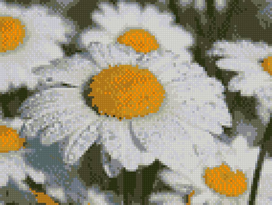 ромашка - цветы - предпросмотр