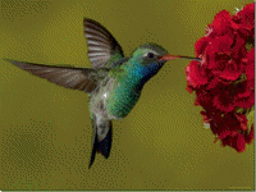 Калибри - предпросмотр