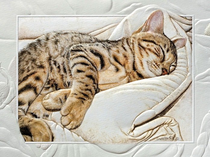 Серия "В рамке" - домашние животные, сладкий сон, котенок - оригинал