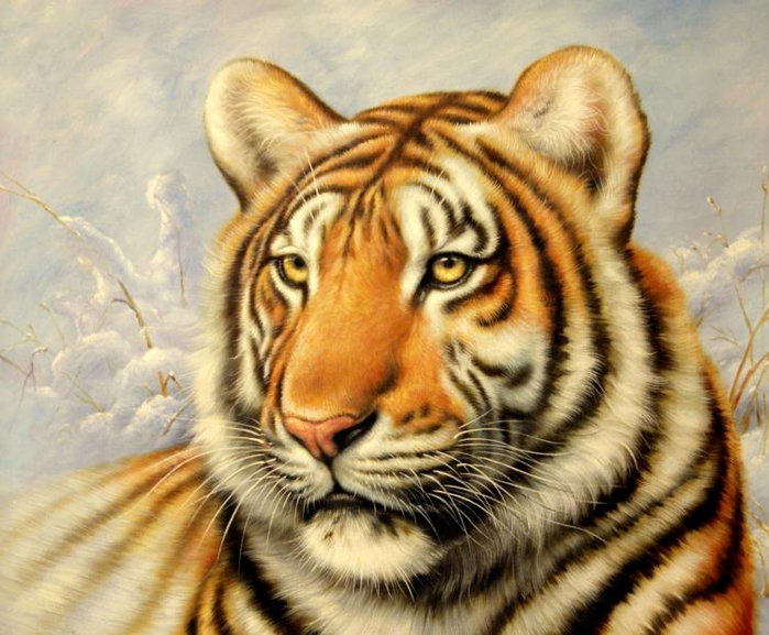 тигруля - тигр, хищник - оригинал