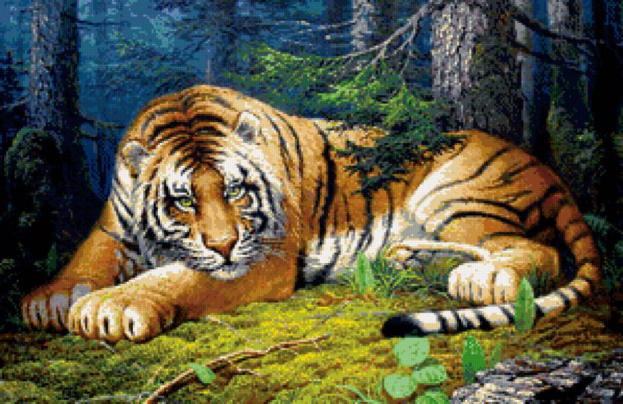 На отдахе - тигр, дикие кошки, тигры, звери - предпросмотр