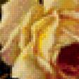 Предпросмотр схемы вышивки «розы в вазе» (№938076)