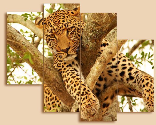 отдых - оригинал