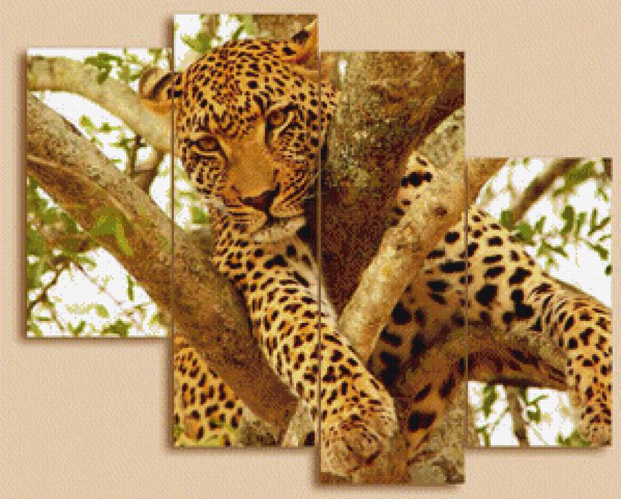 отдых - предпросмотр