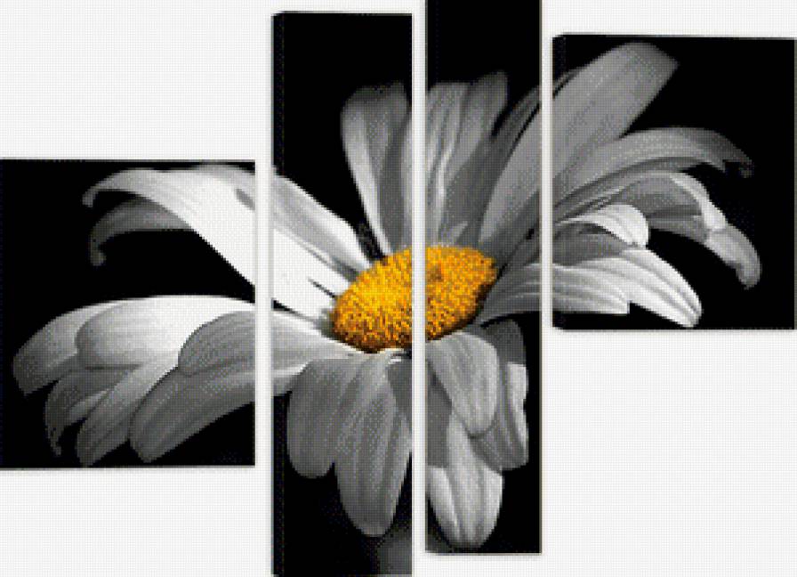 Серия "Диптих, триптих, полиптих" - ромашка, крупный план, черное и белое, триптих, панно - предпросмотр