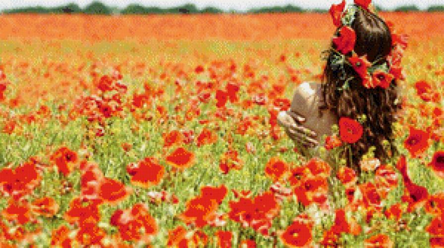 Маковое поле - маки девушка природа - предпросмотр