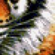 Предпросмотр схемы вышивки «Тигр» (№938666)