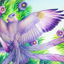 Схема вышивки «сказочная птица»