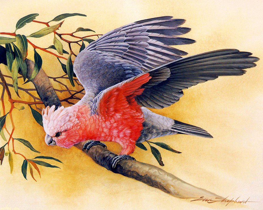 птица на ветке - картина, птица, ветка, природа - оригинал