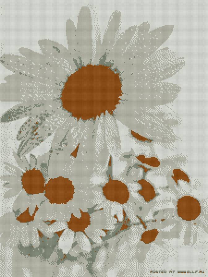 ромашки - предпросмотр