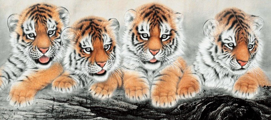 тигрята - животные, хищники, тигры, дикие кошки - оригинал