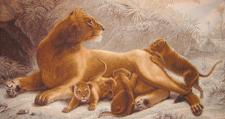 львица со львятами - кошка, лев, хищник - оригинал