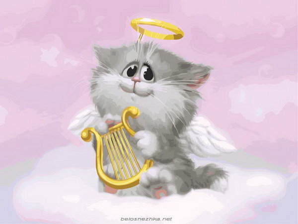 котик ангелок - оригинал
