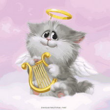 котик ангелок