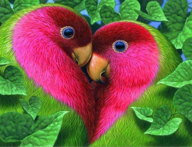влюблённые попугаи - оригинал