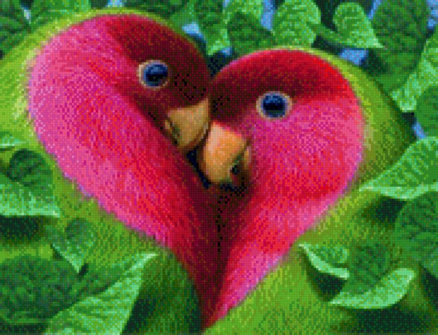 влюблённые попугаи - предпросмотр