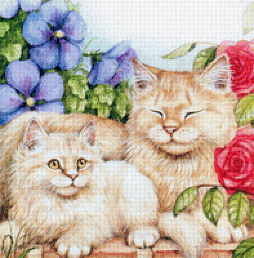 два котика в цветах - предпросмотр