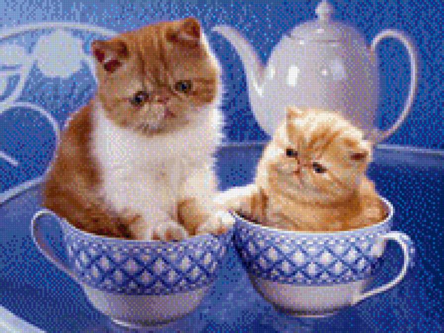 два котика в кружечках - предпросмотр