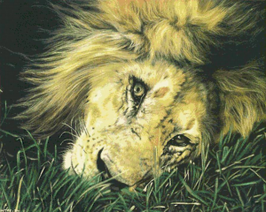 красавец лев - лев, картина, кошка, животное - предпросмотр