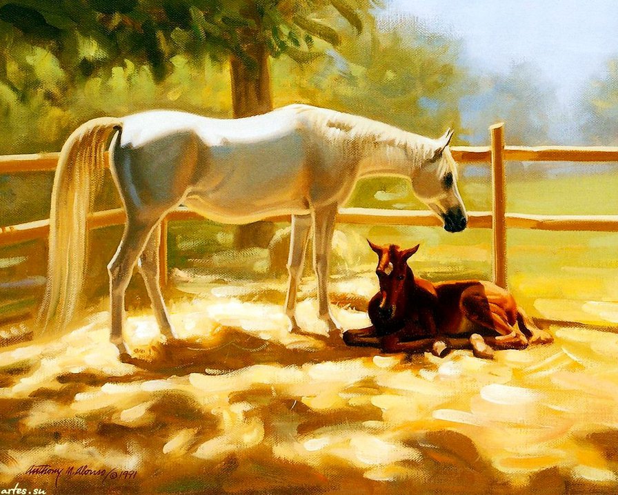 мать и дитя - животные, мать, материнство, лошадь, жеребец - оригинал