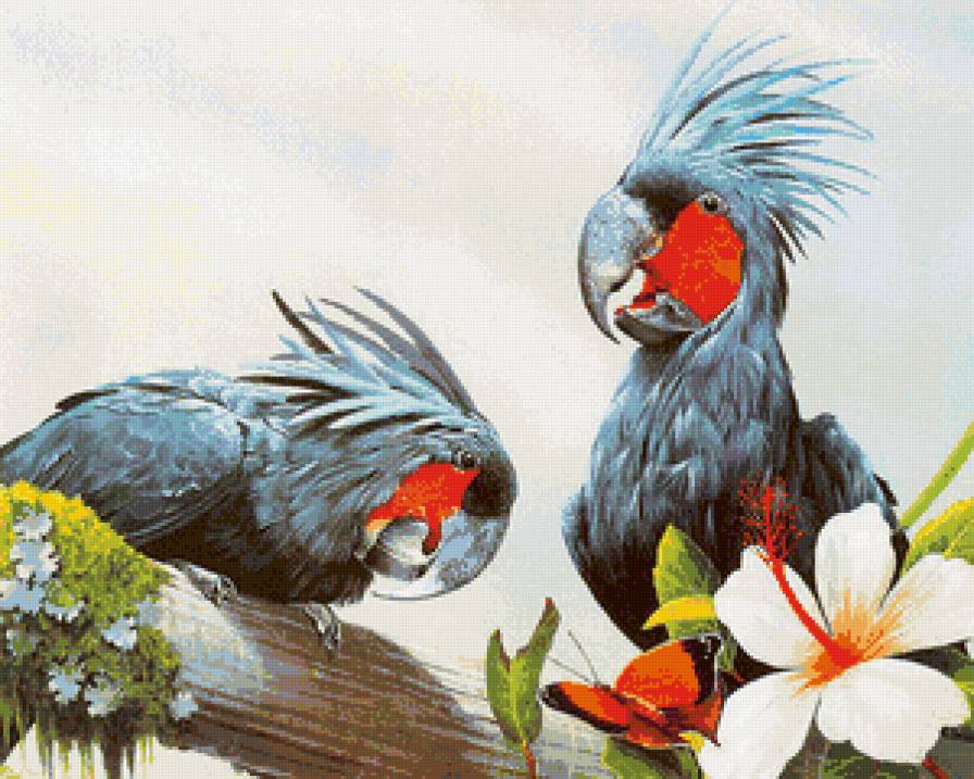 попугаи - попугаи, птицы, пара, гибискус, ветка - предпросмотр
